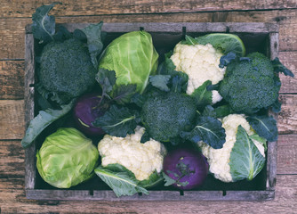 Organic fresh summer vegetables - different varieties of cabbages on wooden background....