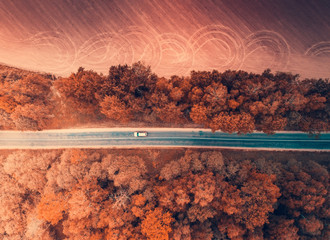 Car moving in autumn forest from above