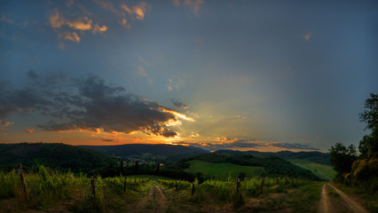 Fototapeta na wymiar Sunset in the hills of Tuscany
