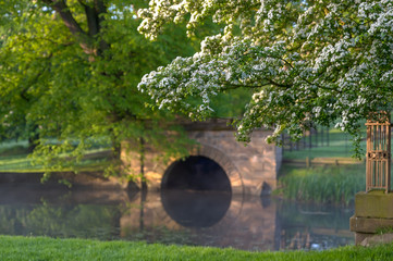 Fototapeta na wymiar wooded arch 