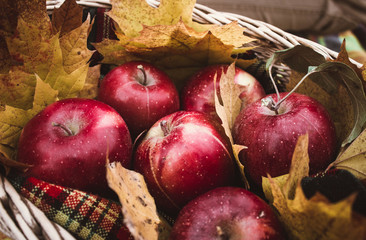 apples in a basket and in leaves