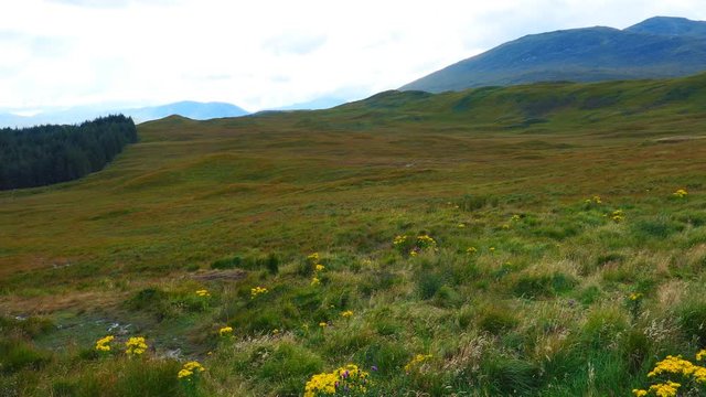 View of meadows and hills. Scotland.