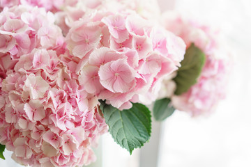 beautiful hydrangea flowers in a vase on a table . Bouquet of light blue, lilac and pink flower. Decoration of home. Wallpaper and background. Vertical photo