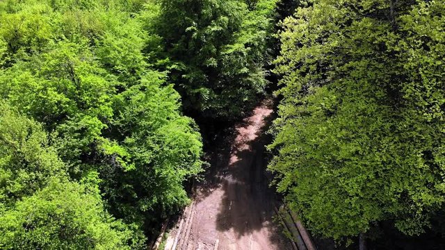 envol au dessus des for&ecirc;ts du Jura