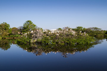 Wakodahatchee wetlands, Florida