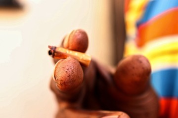 unlighted cigarette highlighting the issue of smoking in society