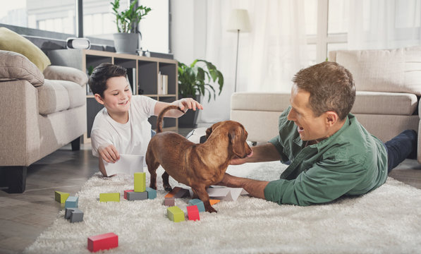 Joyful family having fun with pet in living room. Parent and kid are lying on carpet and laughing