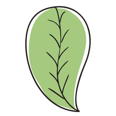 leaf single decorative icon vector illustration design