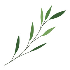 branch with leafs decorative icon vector illustration design