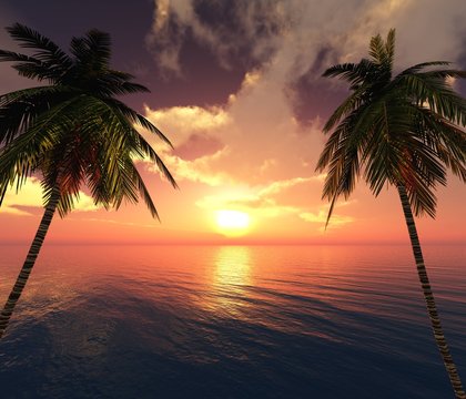 sunset over a tropical beach, ocean sunrise, palm trees on the beach,
3D rendering