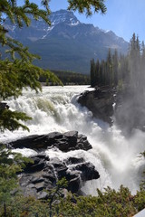 Athabasca Falls