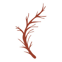 autumn tree branche wooden vector illustration design