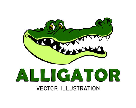 Cartoon Alligator Mascot