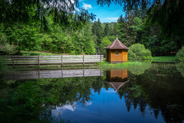Obraz premium Einsamer Teich im Wald