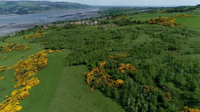 Aerial footage flying over woodland and yellow gorse covered hillside to the village of Langbank on the south shore of the Firth of Clyde.