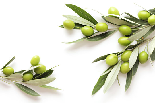 green olives on white background. frame background with copy space