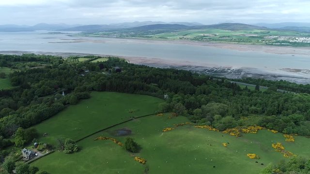 Aerial footage flying over woodland and yellow gorse covered hillside  near the village of Langbank on the south shore of the Firth of Clyde.