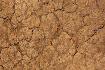 Close-up of brown dry Soil