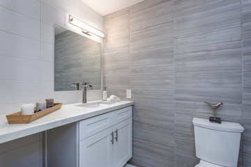 Grey interior of a new bathroom in apartment complex