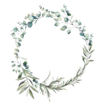 Watercolor greenery combination. Eucalyptus branches and olive tree leaves wreath. Hand painted floral clip art: round frame isolated on white background.