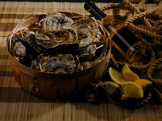 Raw oysters plate. Dark natural background.