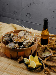 Seafood big oysters plate with lemon and bottle of wine. Diet healthy food. Copy text.
