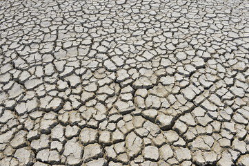 The parched soil