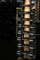 Dumbbells on the counter in the gym