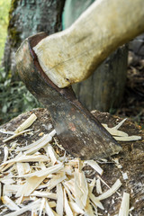 old axe is stuck in a stump, close-up abstract background