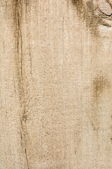 texture of old dry weathered cracked wood, cracks along the fibers of logs, close-up abstract background