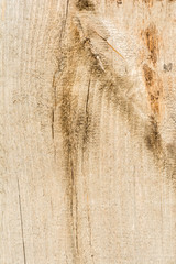 texture of old dry weathered cracked wood, cracks along the fibers of logs, close-up abstract background