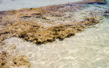 A white sand bottom in Salento beautiful sandy beach, Italy