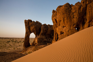 Fototapeta na wymiar Beautiful elephant shaped rock arch in Sahara rock formation with sand dune in foreground – Elephant Rock, Mauritania