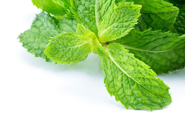 Fresh mint close up on white background