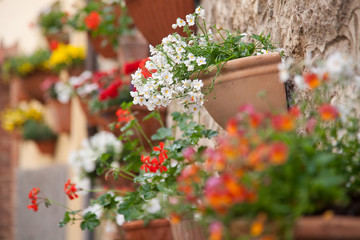 pots of flowers on the walls in a small village in Tuscany