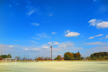 秋の総合公園の風景25