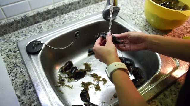 Woman hands taking off byssus from mussels under the running water in sink and then putting them into bowl with water. Seafood preparation process.