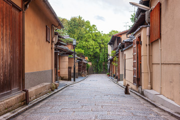 Early morning in Kyoto