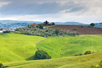 Obraz premium green summer landscape in tuscany, Italy