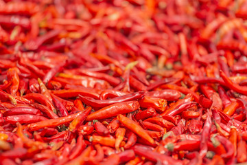 Naklejka premium Close up dried red hot chillies in sunny day 