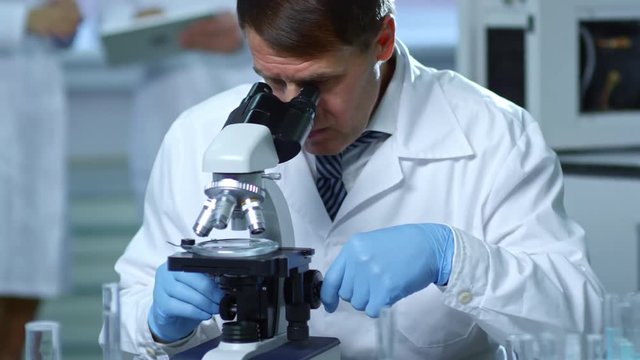 Medium shot of middle-aged man wearing lab coat and rubber gloves working with microscope in laboratory, his colleagues standing in the background