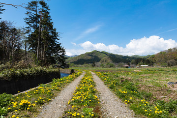 田舎道