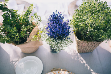 flat lay with green plants and lavender plant in flowerpots on tabletop with linen