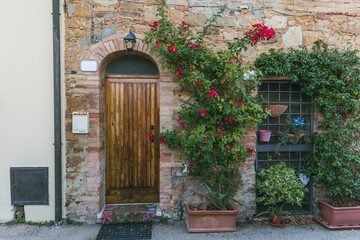 Fototapeta na wymiar urban scene with building with wooden door and green plants with flowers on it, Tuscany, Italy