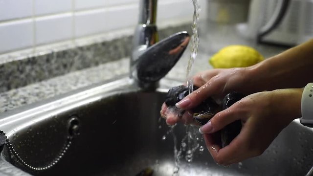 Close-up of female hands washing the raw mussels under running water in sink. Preparation of mussels before the cooking.
