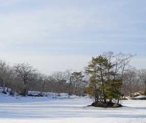 冬　雪　湖　木　素材