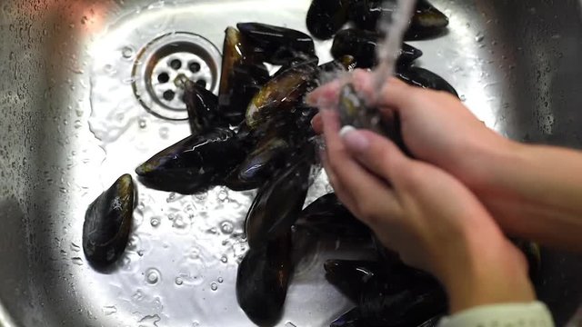 Top view of woman hands washing mussels under the running water in sink. Slow motion.