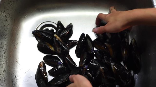 Top view of female chef hands washing mussels in sink in the home kitchen. Preparation of mussels before the cooking.