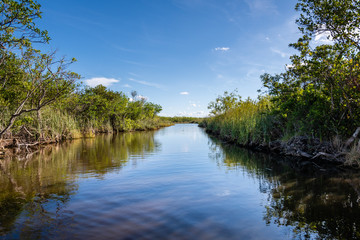 Reflections of the Everglades