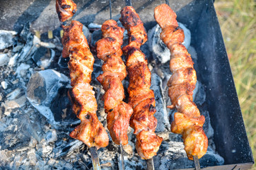 delicious and juicy kebab cooked on fire. fire in barbecue grill